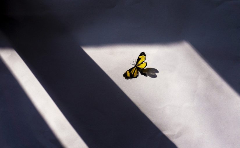 Jakie wybrać okna, aby potem nie żałować decyzji?