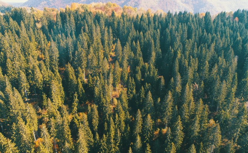 Szambo – Kluczowe Dla Dobrej kondycji i Środowiska: Czynności, Konserwacja, Usuwanie. Zachowujmy o Własne Otoczenie, Zidentyfikujmy Znaczenie Systemu Systemu kanalizacji.