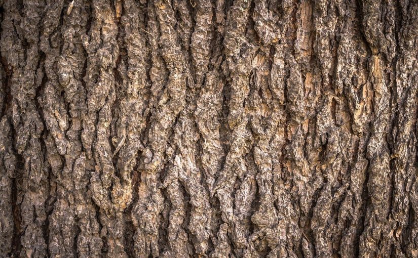 Przepiękny oraz {porządny ogród to nie lada wyzwanie, szczególnie jak jego konserwacją zajmujemy się sami.